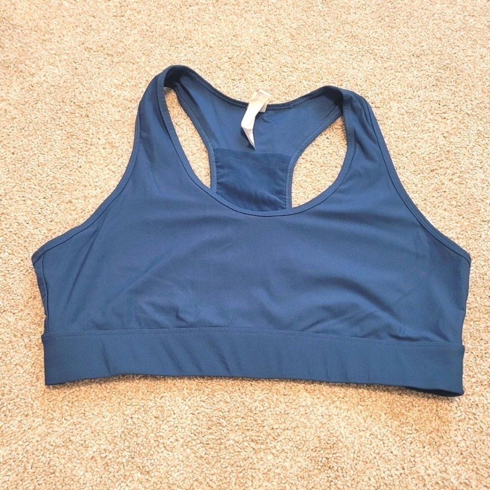 Fabletics Womens Blue Sports Bra Size 1X